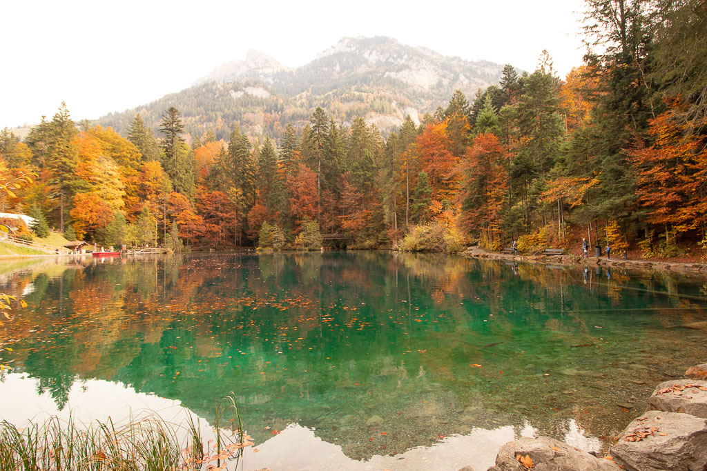 Autumn colours at Lake Blausee, Switzerland