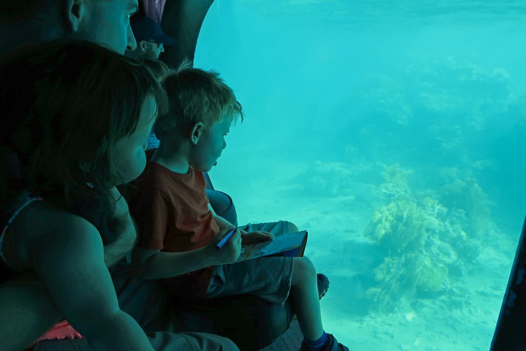 Kids underwater view from Neptune Submarine, Jordan