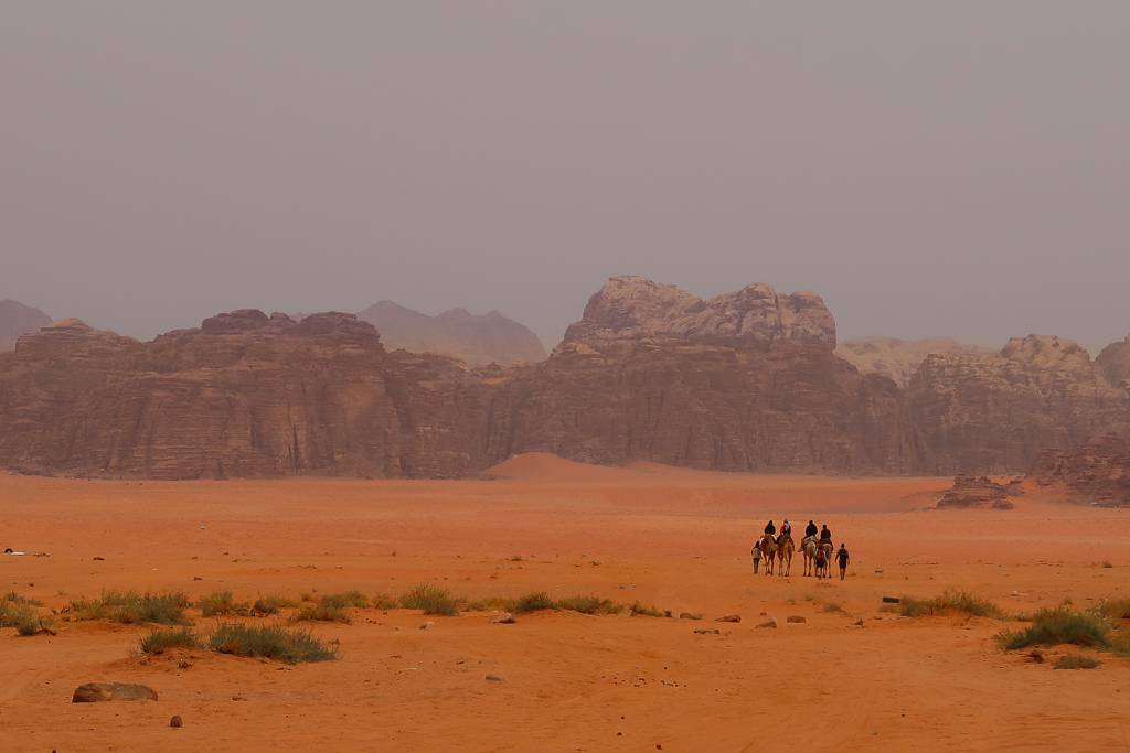 Camels walking through Wadi Rum, Jordan